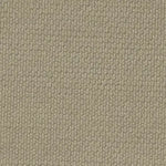 Elm cotton